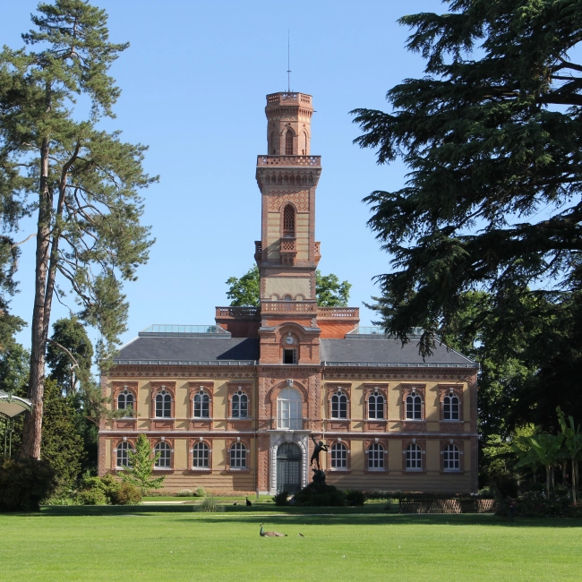 Musée Massey à Tarbes